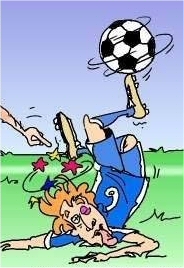 img1.jpg